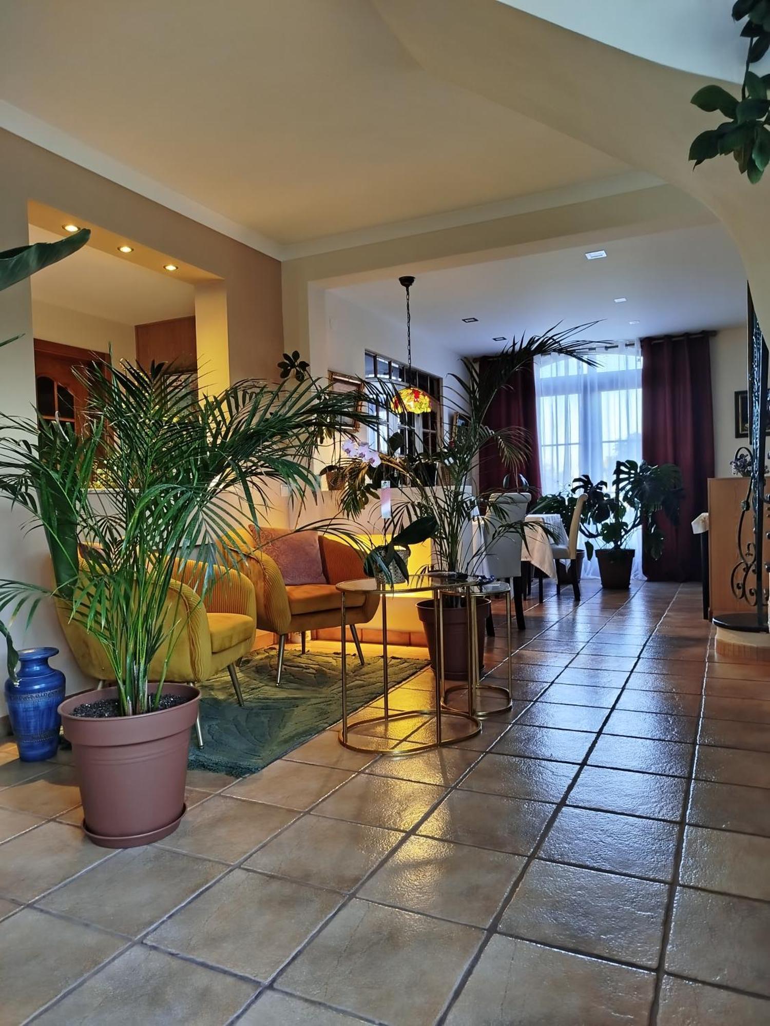 Elodie'S Country House - Alojamento Local Hotell Grândola Exteriör bild